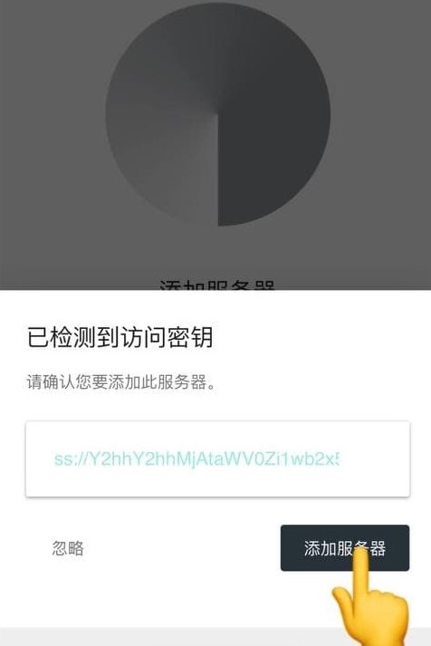 步骤九：添加服务器